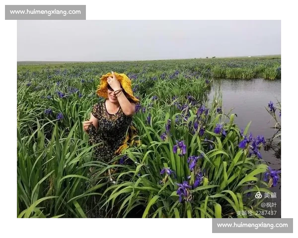 难舍我的梦伴随风雨走过岁月如歌心中永恒的执念与希望